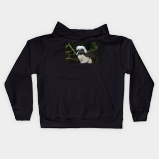 Cotton-Topped Tamarin Kids Hoodie